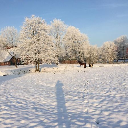 Ferienwohnung Suderfeld Браке Екстериор снимка