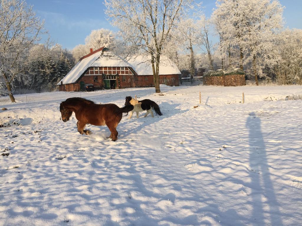 Ferienwohnung Suderfeld Браке Екстериор снимка